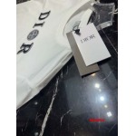 2025年1月8日春夏高品質新品入荷ディオール 薄手半袖 Tシャツ MINGP工場