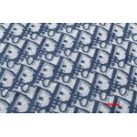 2025年1月16日春夏新品入荷ディオール 半袖 Tシャツ CHIDAO工場