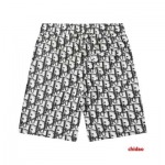 2025年1月16日春夏新品入荷ディオール半ズボン CHIDAO工場