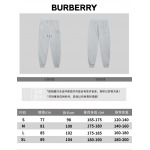 2025年1月17日春夏新品入荷PRADA  スポーツズボ CHIDAO工場