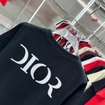 2025年1月17日春夏新品入荷ディオール  半袖 Tシャツ CHIDAO工場