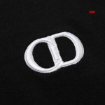 2025年1月20日春夏新品入荷ディオール  半袖 TシャツDW工場