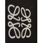 2025年1月20日春夏新品入荷LOEWE  半袖 TシャツDW工場