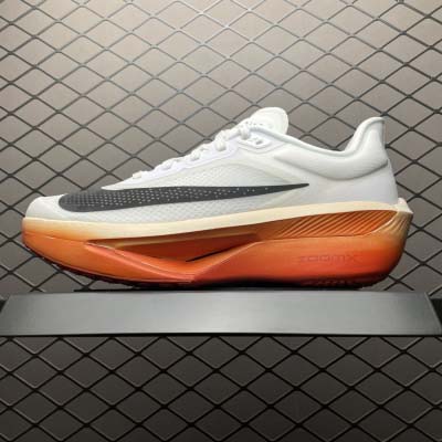 2025年1月30日新品入荷 NiKe Zoom Fly 6...