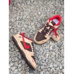 2025年1月30日新品入荷Nike SB DuNiKe Low 2025  スニーカー/ランニングシューズ/カジュアルシューズ