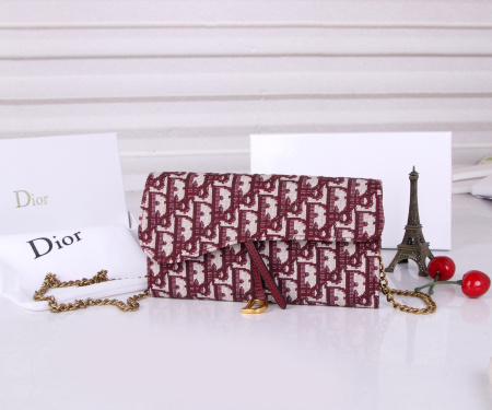 2025年2月26日新品Diorバッグ zy工場