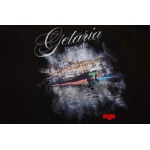 2025年2月17日高品質新品Balenciaga春夏半袖Tシャツ  regu工場