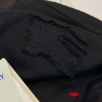 2025年2月17日高品質新品BURBERRY春夏半袖Tシャツ  regu工場