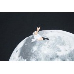 2025年2月20日高品質新品loewe半袖のT シャツ  FF工場