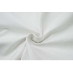 2025年2月20日高品質新品Balenciaga半袖のT シャツ  FF工場