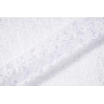 2025年2月20日高品質新品Dior半袖Tシャツ  FF工場