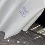 2025年2月22日高品質新品Louis Vuitton半袖 tシャツ  FF工場