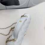 2025年2月26日新品Chanelバッグ zy工場18x4x13cm