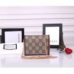 2025年2月26日新品Gucciバッグ zy工場