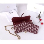 2025年2月26日新品Diorバッグ zy工場