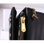 2025年2月26日新品Diorバッグ zy工場