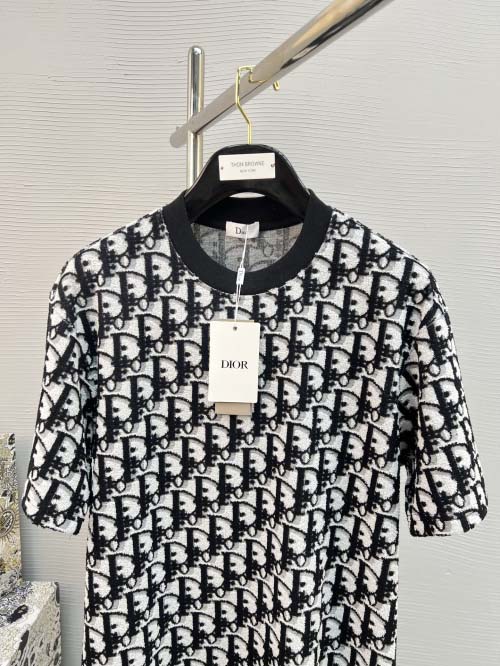 2025年3月26日入荷春夏高品質新作Dior半袖 tシャツTF工場