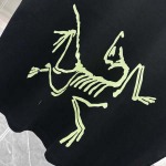 2025年3月1日春夏高品質新品ARCTERYX半袖 tシャツDW工場