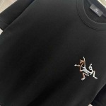 2025年3月1日春夏高品質新品ARCTERYX半袖 tシャツDW工場