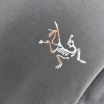 2025年3月1日春夏高品質新品ARCTERYX半袖 tシャツDW工場