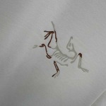 2025年3月1日春夏高品質新品ARCTERYX半袖 tシャツDW工場