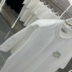 2025年3月1日春夏高品質新品DIOR半袖 tシャツDW工場