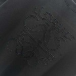 2025年3月1日春夏高品質新品loewe半袖 tシャツDW工場