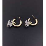 2025年3月9日入荷新品chanelピアスギフト/誕生日/記念品/アクセサリーxin工場