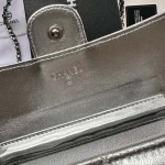 2025年3月17日新品バッグChanel  18x10.5x3.5cm A50076  zy工場