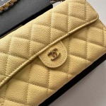 2025年3月17日新品 バッグChanel  18x10.5x3.5cm A50076   zy工場