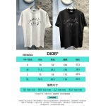 2025年3月19日高品質新作 Dior半袖Tシャツ HoHo工場