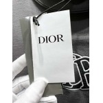 2025年3月19日高品質新作Dior半袖Tシャツ HoHo工場