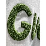 2025年3月19日高品質新作Gucci半袖Tシャツ HoHo工場