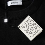 2025年3月25日入荷春夏高品質新作LOEWEニット半袖Tシャツdiand工場