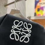 2025年3月26日入荷春夏高品質新作LOEWE半袖 tシャツTF工場