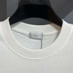 2025年3月26日入荷春夏高品質新作Dior半袖 tシャツTF工場