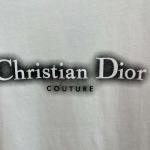 2025年3月26日入荷春夏高品質新作Dior半袖 tシャツTF工場