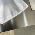 2025年3月26日入荷春夏高品質新作Dior半袖 tシャツTF工場