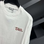 2025年3月26日入荷春夏高品質新作Fendi半袖 tシャツTF工場