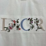 2025年3月27日入荷春夏高品質新作Dior半袖 tシャツTF工場
