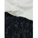 2025年3月27日入荷春夏高品質新作Dior半袖 tシャツTF工場