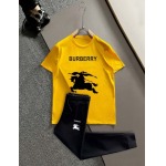 2025年3月28日入荷新作BURBERRY夏メンズ 上下セットM-5XL/zhan工場