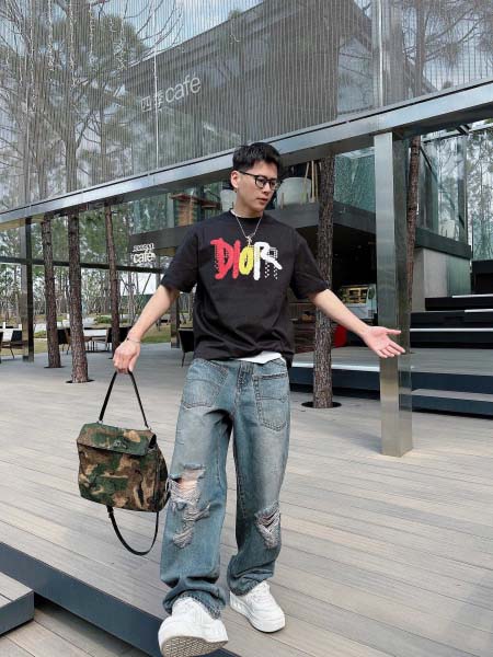 2025年4月6日入荷新作DIOR半袖 Tシャツ高級品/LD工場