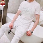 2025年4月1日入荷新作Dior夏メンズ 上下セットM-5XL/zhan工場