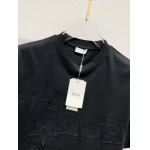 2025年4月3日入荷新作Dior半袖 Tシャツ高級品/LD工場