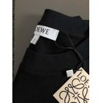 2025年4月3日入荷新作loewe半袖 Tシャツ高級品/LD工場