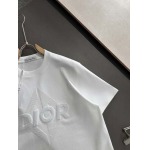 2025年4月3日入荷新作Dior半袖 Tシャツ高級品/LD工場
