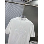 2025年4月4日入荷新作DIOR半袖 Tシャツ高級品/LD工場
