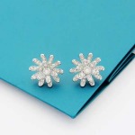 2025年4月4日入荷新品graffピアスギフト/誕生日/記念品/アクセサリーxin工場