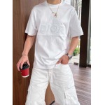 2025年4月6日入荷新作DIOR半袖 Tシャツ高級品/LD工場